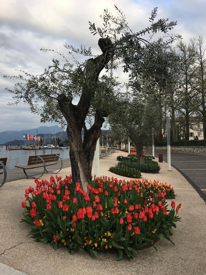 Caba Holiday Bardolino D'Annunzio Екстер'єр фото